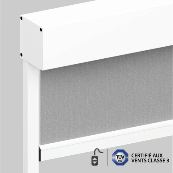 PROSCREEN EXT. 85 ZIP