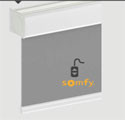 Moteur filaire Somfy 230 Volt