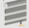 Motorisation filaire 24 V Somfy