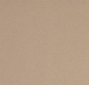Beige 8902