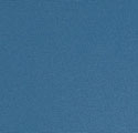 Bleuet 8204