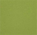 2246 VERT CLAIR